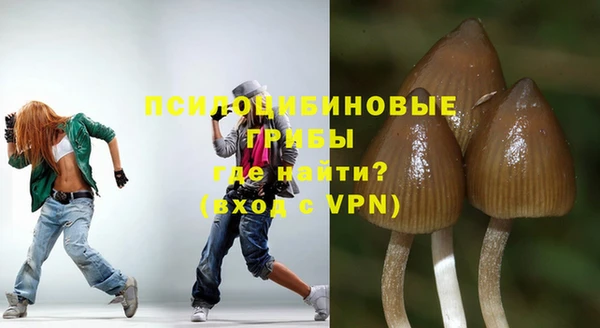 ALPHA-PVP Покров