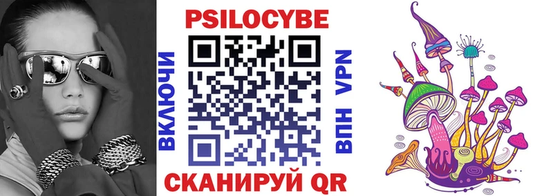 Псилоцибиновые грибы Psilocybe  где купить наркоту  Калачинск 