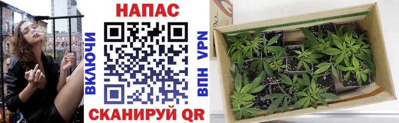 закладки Калачинск Шишки марихуана LSD WEED
